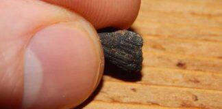 Can carbon solve the carbon problem?