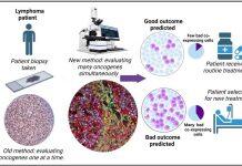 NUS researchers develop novel approach for predicting resistance against cancer therapy