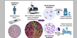 NUS researchers develop novel approach for predicting resistance against cancer therapy