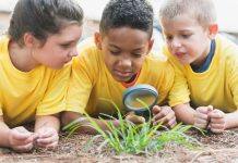 A simple intervention could help promote understanding of autistic children