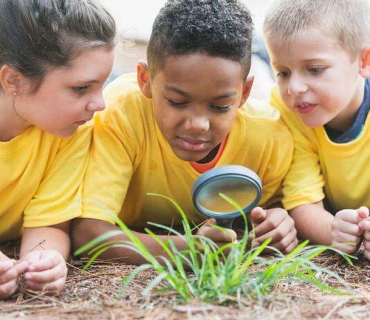 A simple intervention could help promote understanding of autistic children