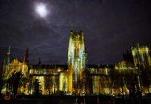 World-renowned artists to be part of Lumiere