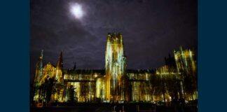 World-renowned artists to be part of Lumiere