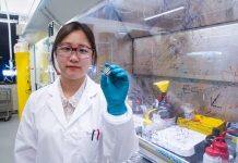 Improved stability could help perovskite solar cells compete with silicon
