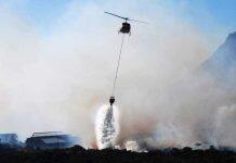 New PhD scholarship focuses on protecting native forests