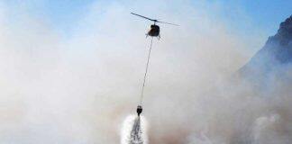 New PhD scholarship focuses on protecting native forests