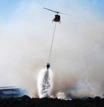 New PhD scholarship focuses on protecting native forests