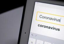 Search engines and social media can forecast disease outbreaks