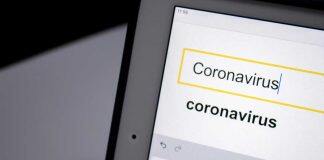 Search engines and social media can forecast disease outbreaks