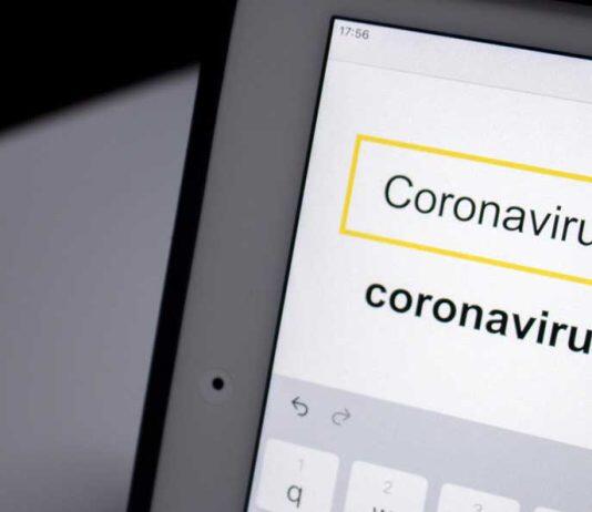 Search engines and social media can forecast disease outbreaks