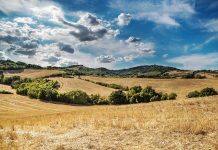 Rural residents die at higher rates than those in urban centres – study