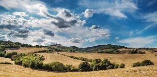 Rural residents die at higher rates than those in urban centres – study