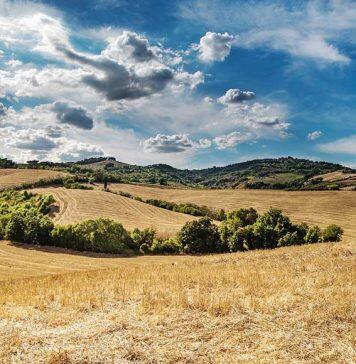 Rural residents die at higher rates than those in urban centres – study