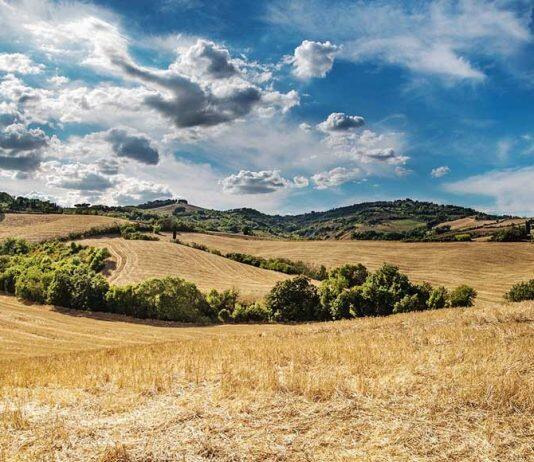 Rural residents die at higher rates than those in urban centres – study