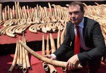 Law and the global impact of wildlife trafficking