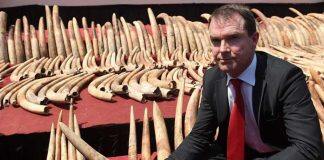 Law and the global impact of wildlife trafficking