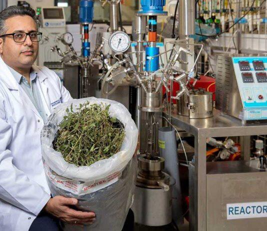 Researchers tackling medicinal cannabis industry’s waste problem