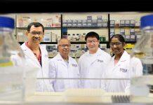 NUS scientists develop a new class of artificial water channels for more efficient industrial water purification