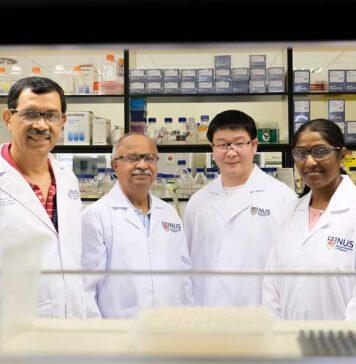 NUS scientists develop a new class of artificial water channels for more efficient industrial water purification