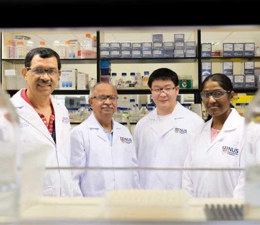 NUS scientists develop a new class of artificial water channels for more efficient industrial water purification