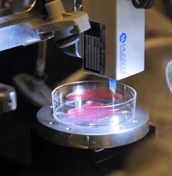 Manchester research to boost bioprinting technology to address critical health challenges in space