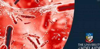 Antibiotic-resistant superbugs threaten global health