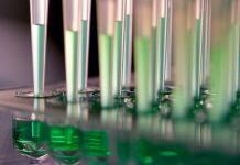 Significant funding boost to allow Nottingham researchers to unlock sustainable pharmaceutical manufacturing