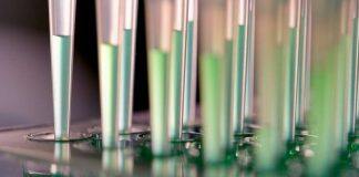 Significant funding boost to allow Nottingham researchers to unlock sustainable pharmaceutical manufacturing