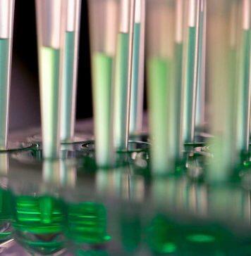 Significant funding boost to allow Nottingham researchers to unlock sustainable pharmaceutical manufacturing