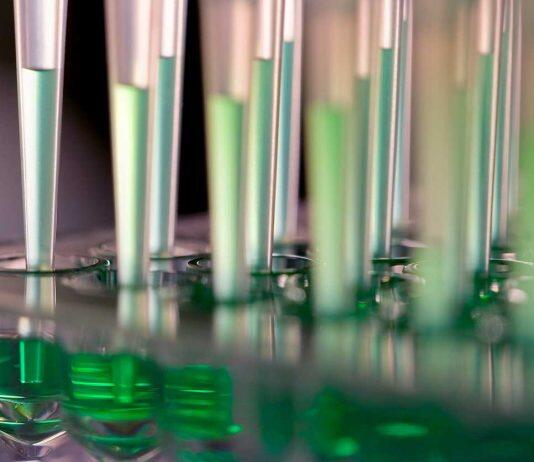 Significant funding boost to allow Nottingham researchers to unlock sustainable pharmaceutical manufacturing