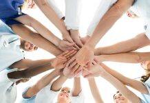 Importance of team structure in clinical settings in the spotlight