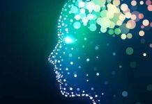 Evolution wired human brains to act like supercomputers