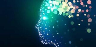 Evolution wired human brains to act like supercomputers