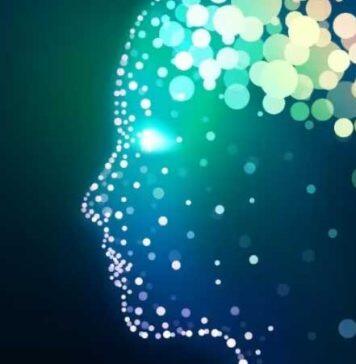 Evolution wired human brains to act like supercomputers
