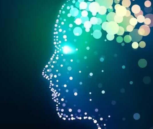 Evolution wired human brains to act like supercomputers