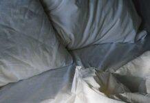 Childhood risk factors for sleep apnoea in middle age identified in long-term study