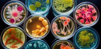 $2m funding boost for innovative health and medical projects