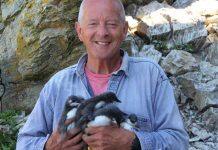 Scientist’s 50-year study reveals climate change and avian flu impact on UK seabirds