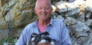 Scientist’s 50-year study reveals climate change and avian flu impact on UK seabirds