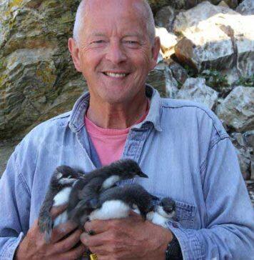 Scientist’s 50-year study reveals climate change and avian flu impact on UK seabirds