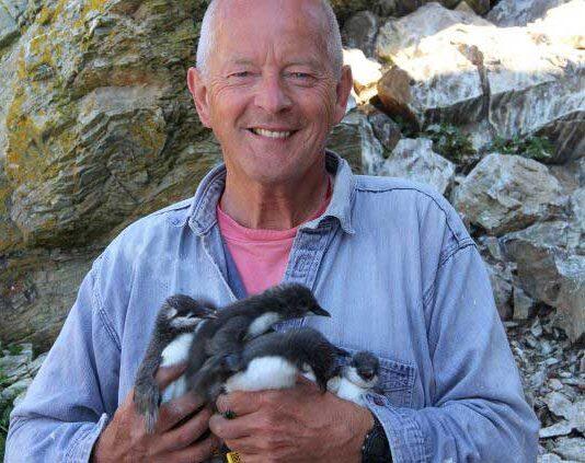 Scientist’s 50-year study reveals climate change and avian flu impact on UK seabirds