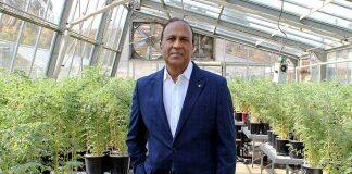 UWA researchers recognised in Premier’s Science Awards