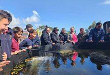 Waikato supports Raukōkore Marine Research Centre opening