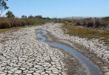 Climate change is reducing global river water quality