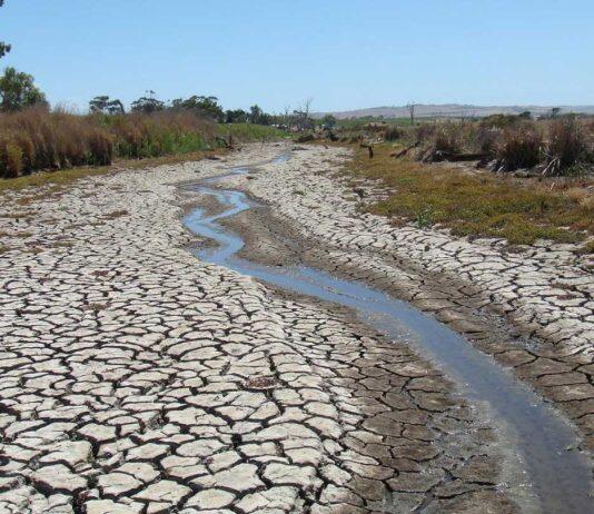Climate change is reducing global river water quality