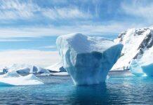 Antarctica’s record-breaking heatwave marks year of climate extremes