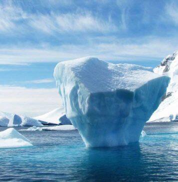 Antarctica’s record-breaking heatwave marks year of climate extremes