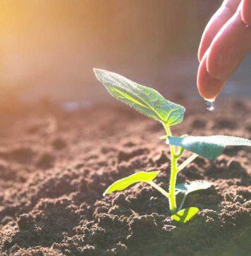 Funding awarded to bring transformational projects to life