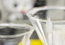 Striking changes to metal levels discovered in Huntington’s Disease patients’ brain tissue