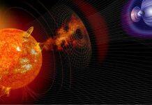 Researchers identify largest ever solar storm in tree rings
